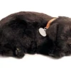 TheHolidayBarn.com Breathing Black Lab Puppy New! 1 TheHolidayBarn.com Breathing Black Lab Puppy New!