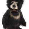 Charlie Bears Barefoot Moon Bear 1 Charlie Bears Barefoot Moon Bear