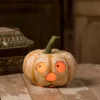 Bethany Lowe Frightened Pumpkin Luminary 2 Bethany Lowe Frightened Pumpkin Luminary