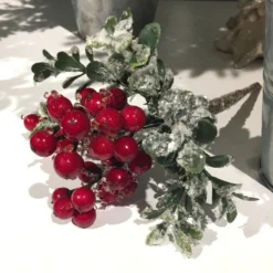 Winward Iced Berry Pick