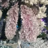 Winward Lavender Snowy Pine Picks New!