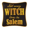 TheHolidayBarn.com New! Salem Witch Pillow 2 TheHolidayBarn.com New! Salem Witch Pillow
