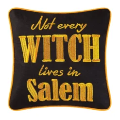 TheHolidayBarn.com New! Salem Witch Pillow