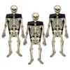Beistle Beistle Vintage Halloween Skeleton Party Favor Boxes
