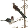 Sage & Co. Christmas Winter Love Birds Clip-On Ornaments